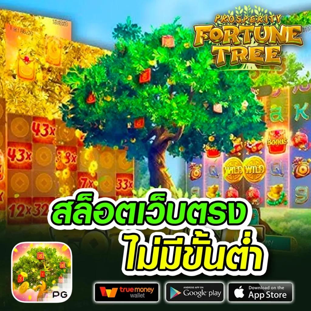 7m baanpolball ศูนย์รวมคาสิโนออนไลน์ครบวงจรอันดับ 1 ในไทย