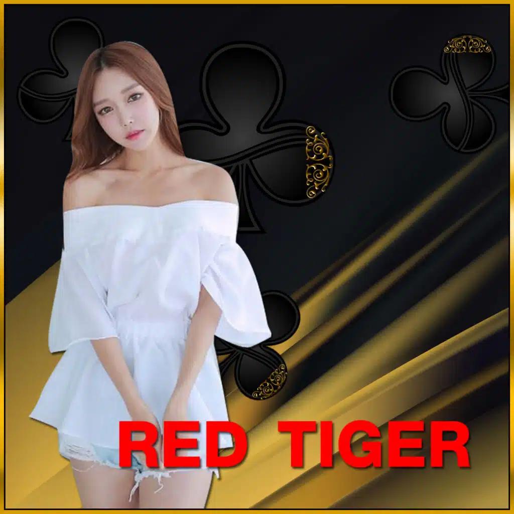 ok casino สล็อต เว็บใหญ่ จบครบในเว็บเดียว โบนัสสุดคุ้ม