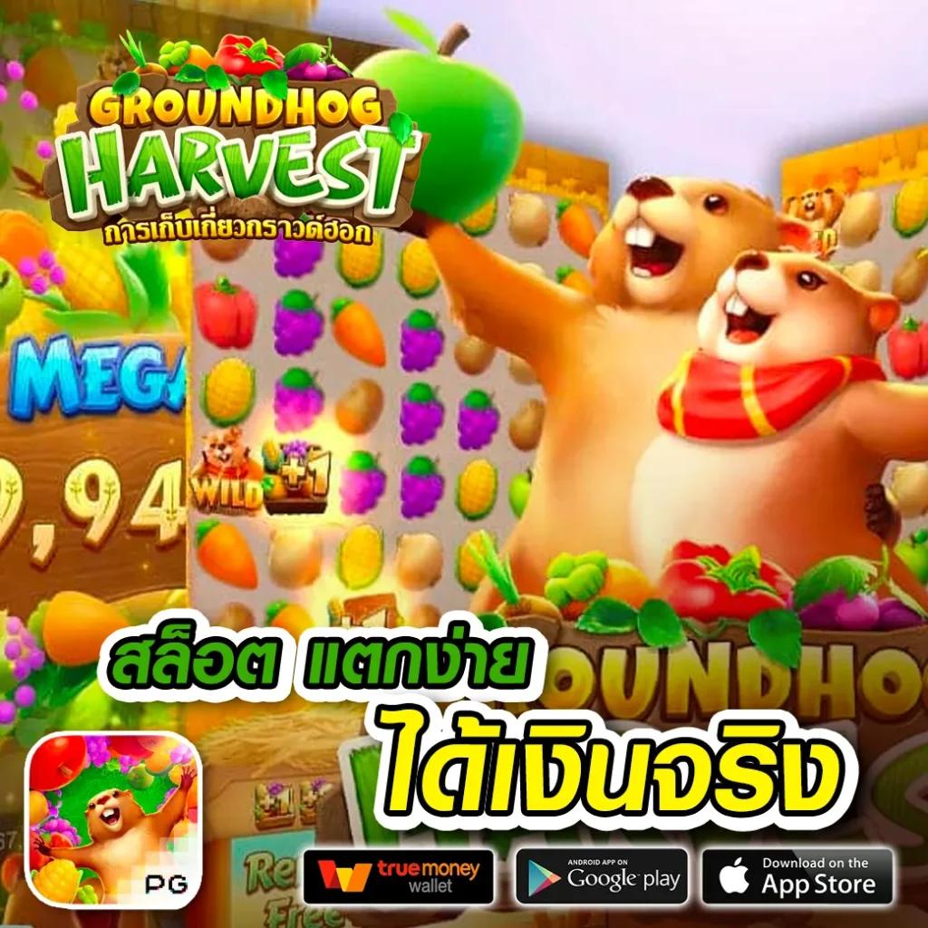 สล็อต Zumo88 คาสิโนยอดนิยม สล็อตแตกง่าย ฟรีโบนัส 2024